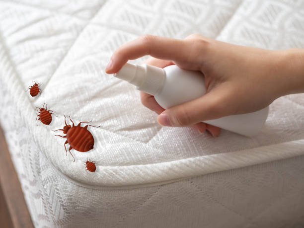 Indoor Pest Control in Fairlawn, OH